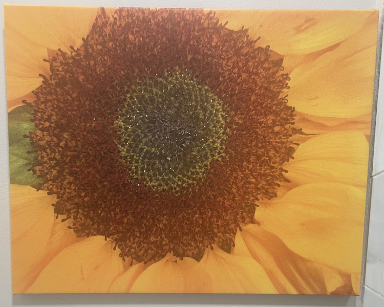 Sunflower | 16"x20" | Photo on Canvas | $75